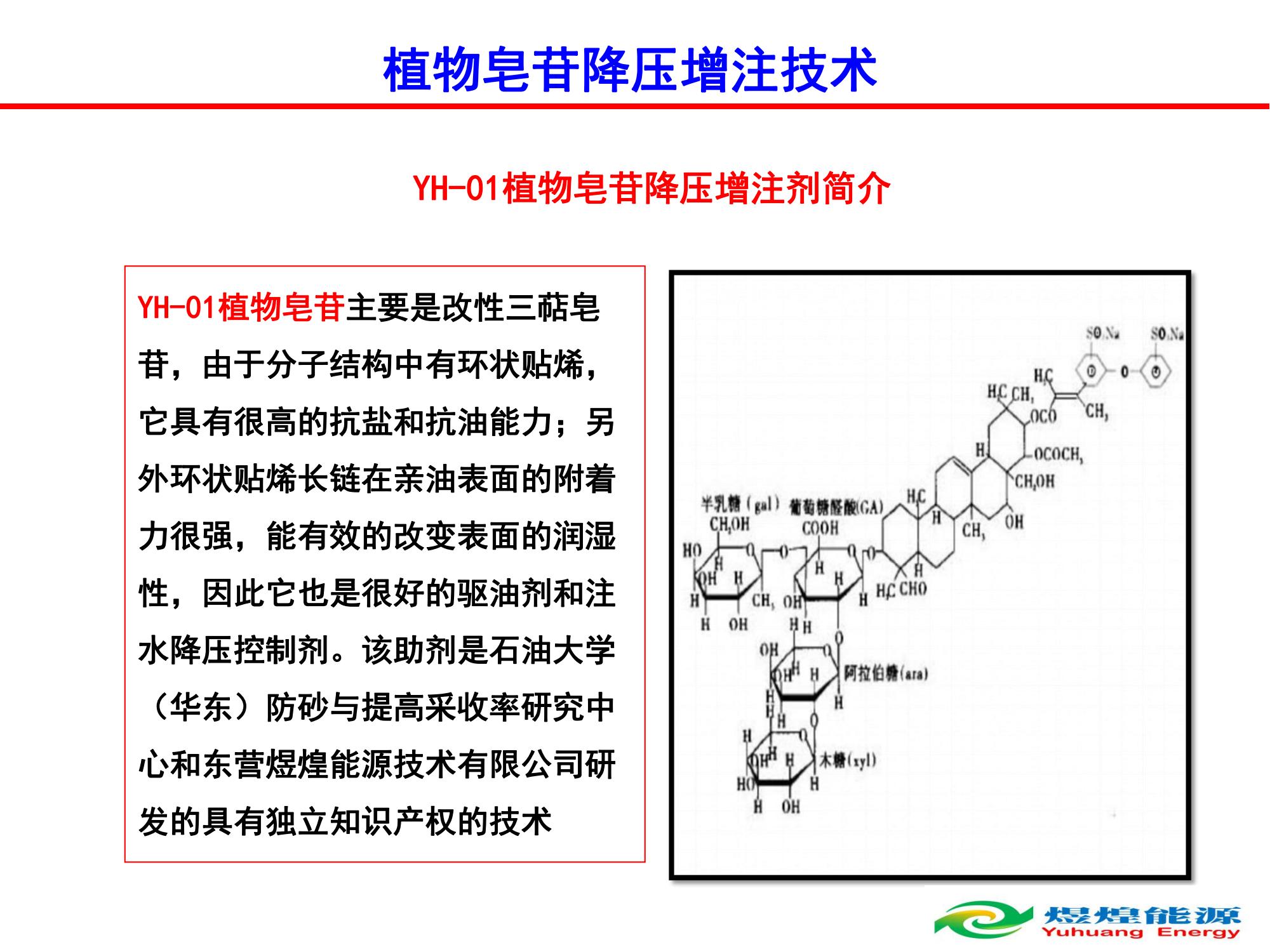 YH-01植物皂苷降压增注技术-修改_01.jpg