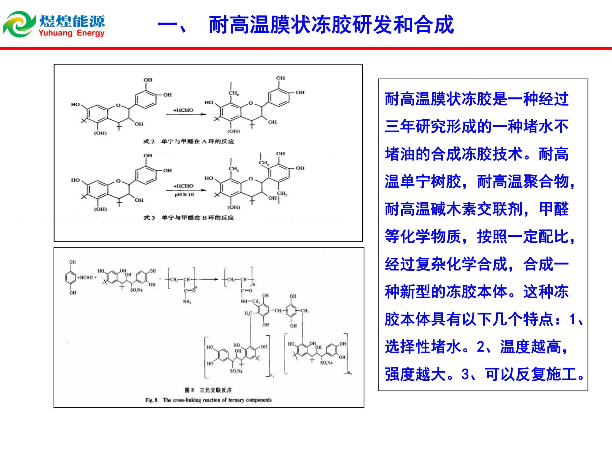 耐高温膜状冻胶堵水技术-修改_01.jpg