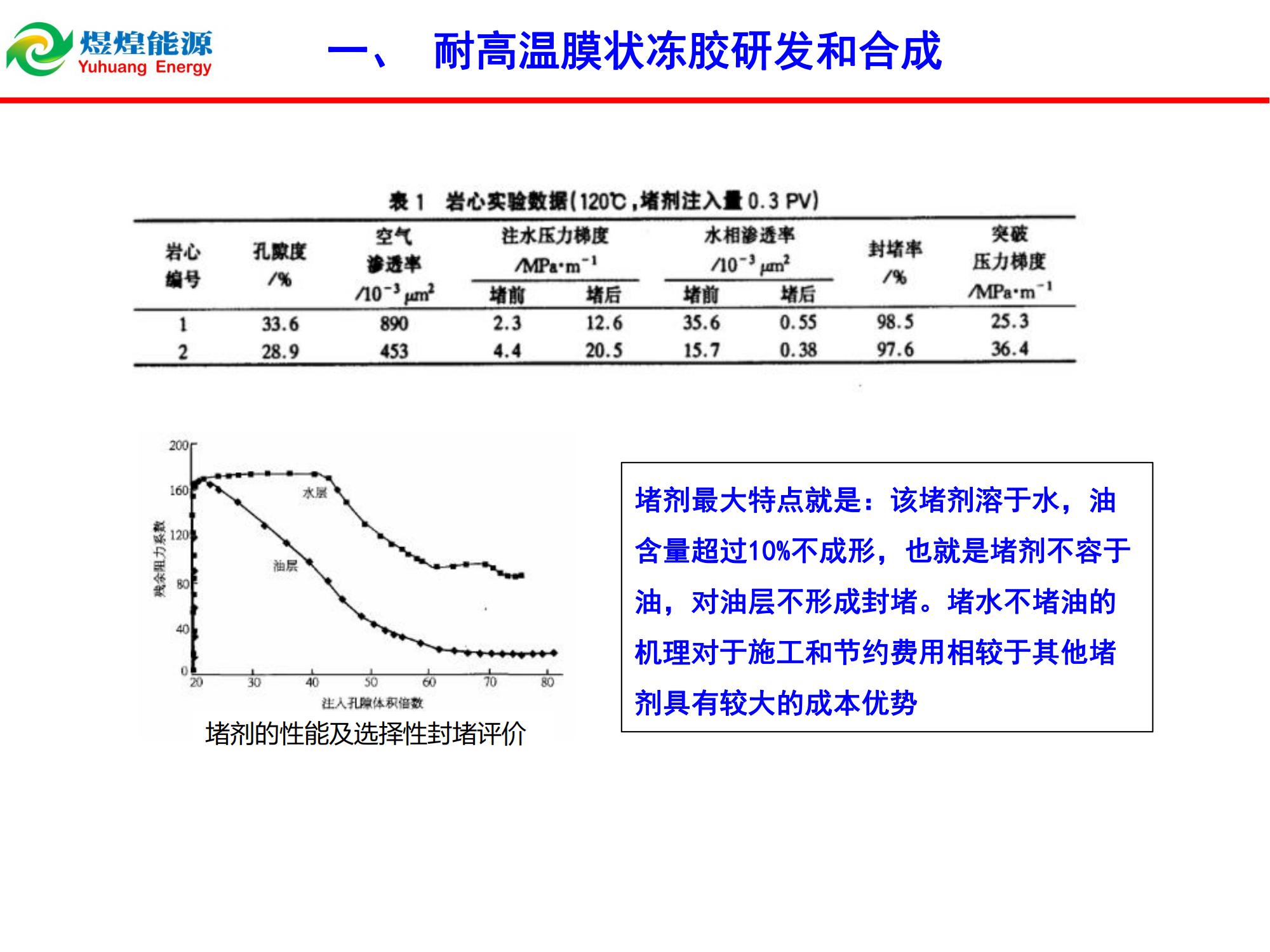 耐高温膜状冻胶堵水技术-修改_02.jpg