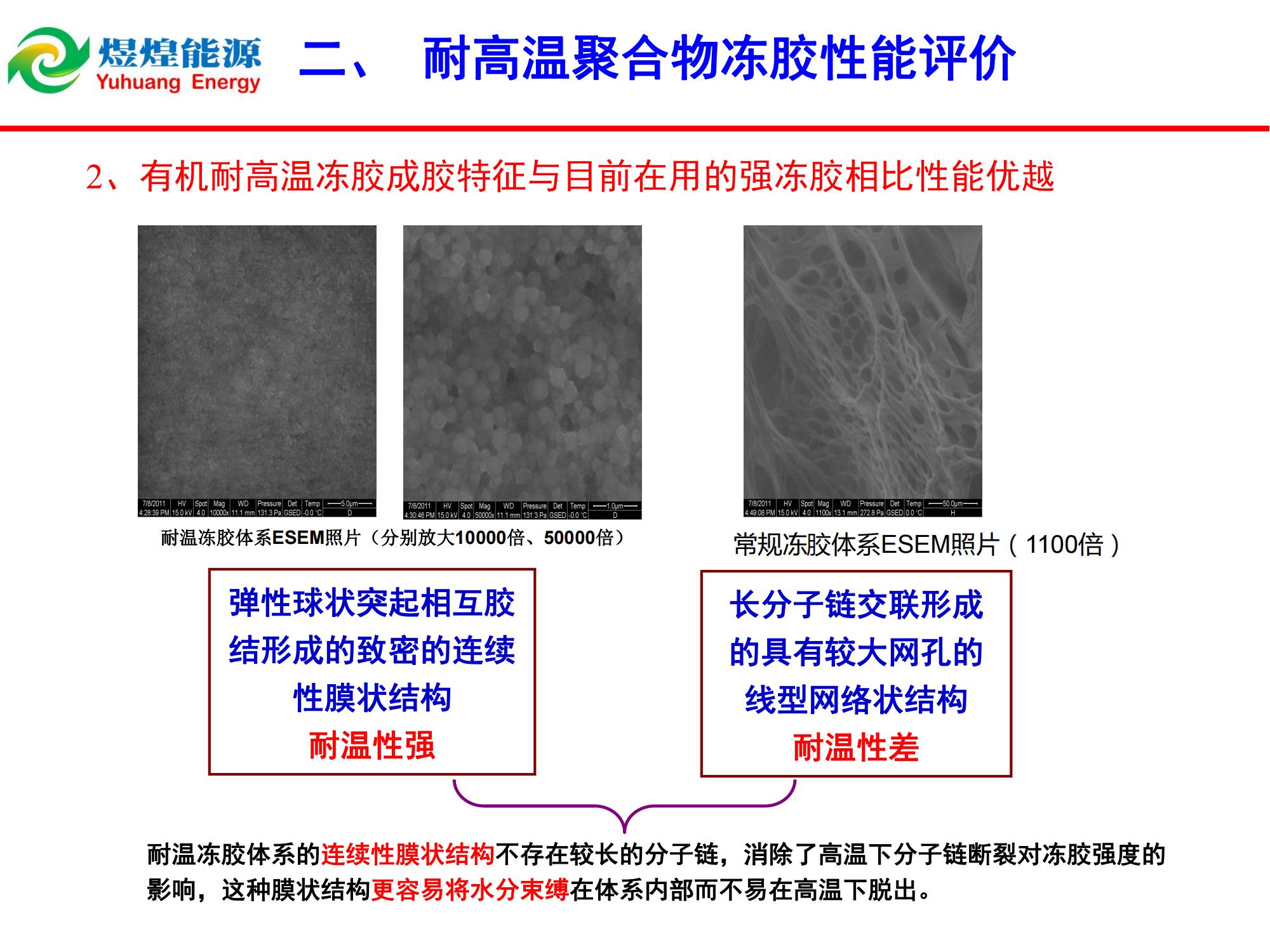 耐高温膜状冻胶堵水技术-修改_05.jpg