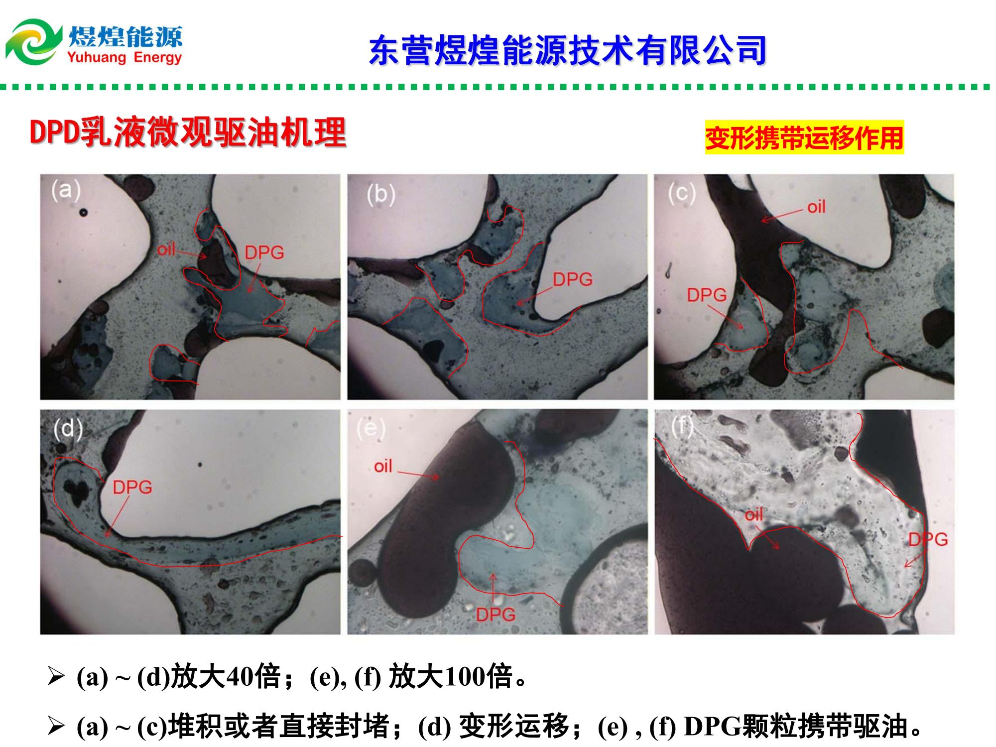 纳微米多尺度冻胶膨胀颗粒乳液(DPD)调驱技术-修改_06.jpg